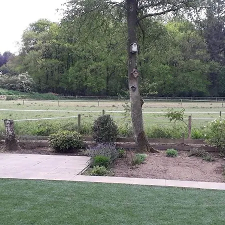 Glass Veranda In Nature Chalet Garderen