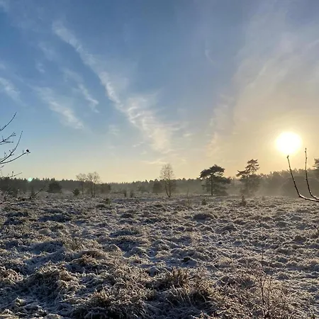 Glass Veranda In Nature * Garderen