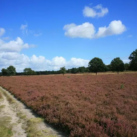Glass Veranda In Nature Chalet Garderen