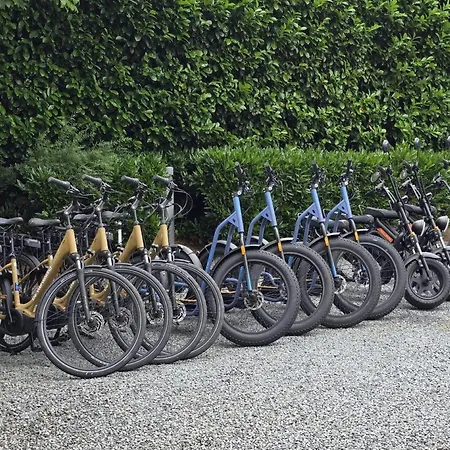 Glass Veranda In Nature Chalet