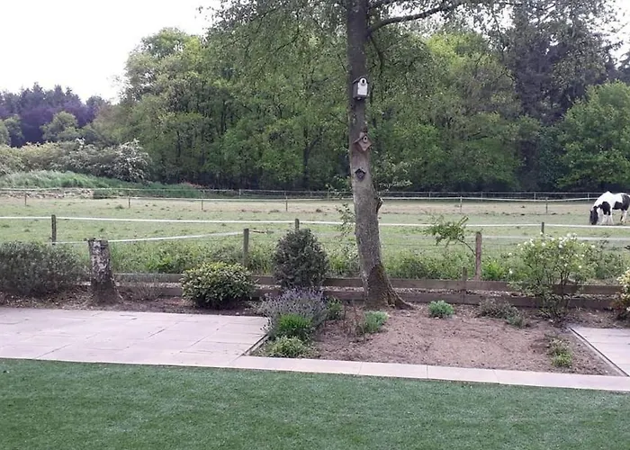 Glass Veranda In Nature Chalet Garderen
