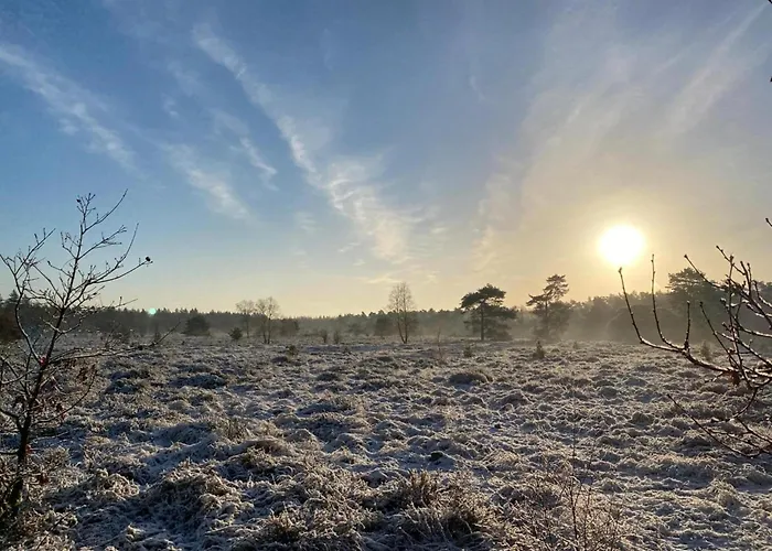 Glass Veranda In Nature * Garderen