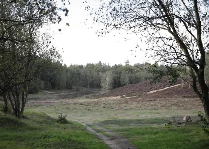 Chalet Glass Veranda In Nature