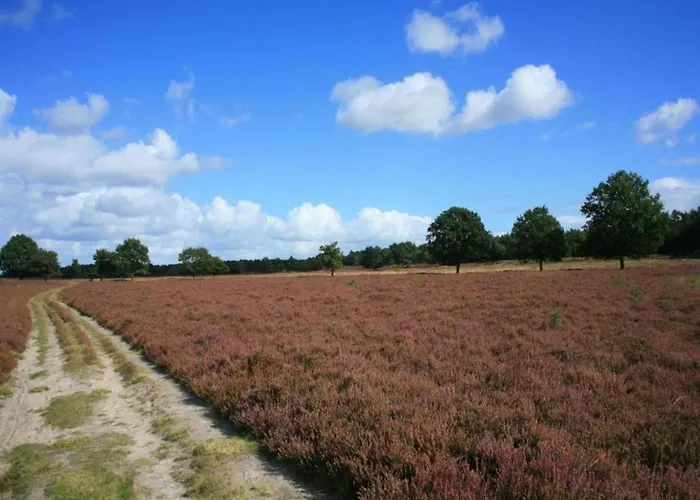 Glass Veranda In Nature Chalet Garderen