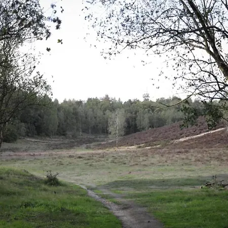 בקתה Glass Veranda In Nature