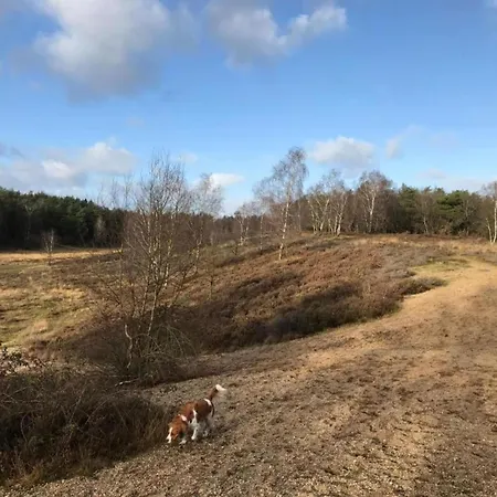 Glass Veranda In Nature חרדרן